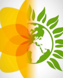 Screen Shot 2015-09-07 at 14.31.22